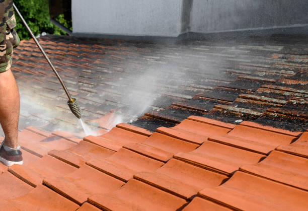 Best Pressure Washing Company Near Me  in Minnetrista, MN