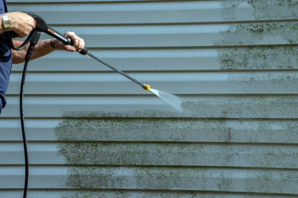 Best Residential Pressure Washing Services  in Minnetrista, MN